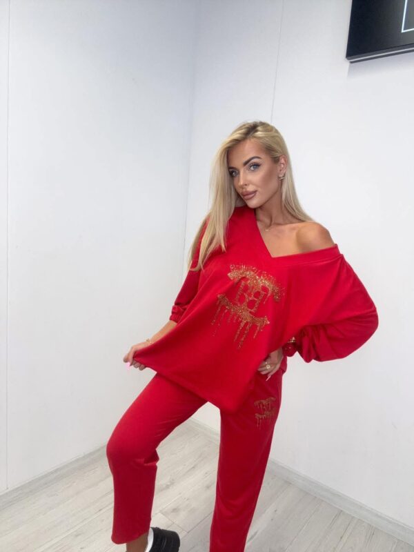 Set 1003 Brilliant Brands