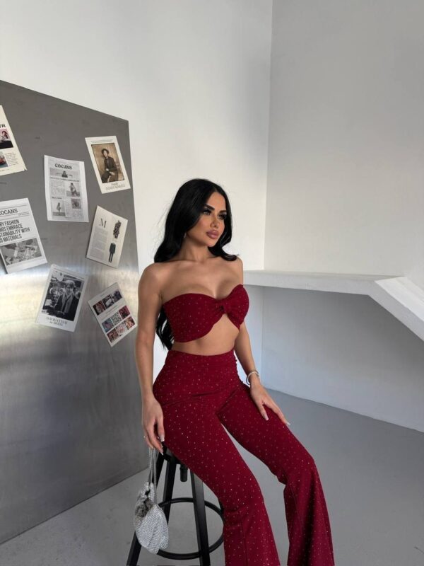 Embellished Lycra Scuba Crepe Bustier Pants Set
