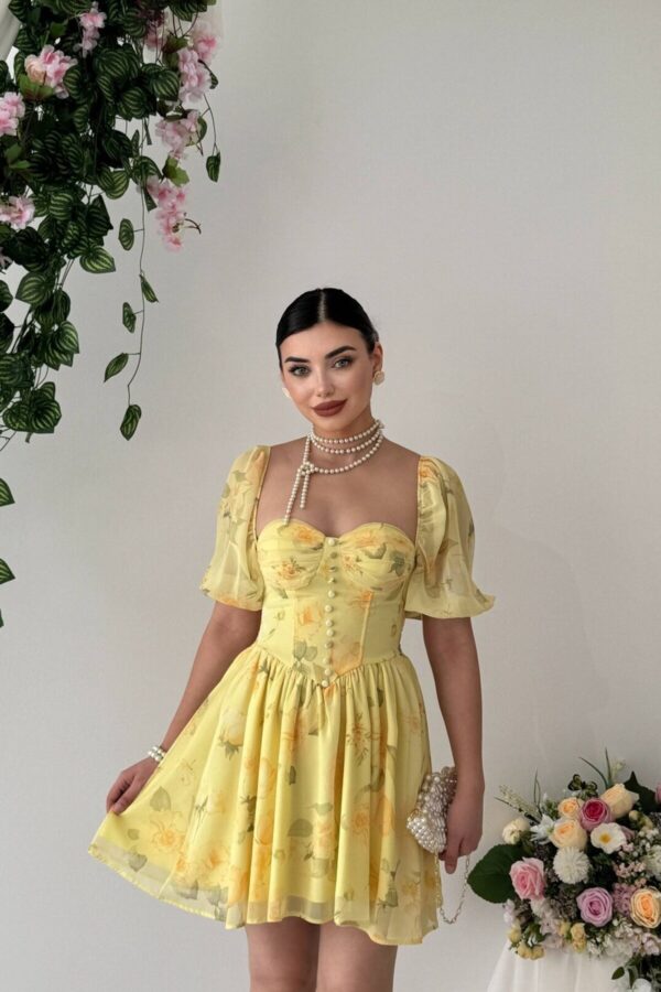 Bery Chiffon Mini Dress