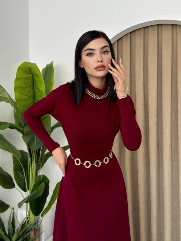 Dina Turtleneck Poplin Midi Dress